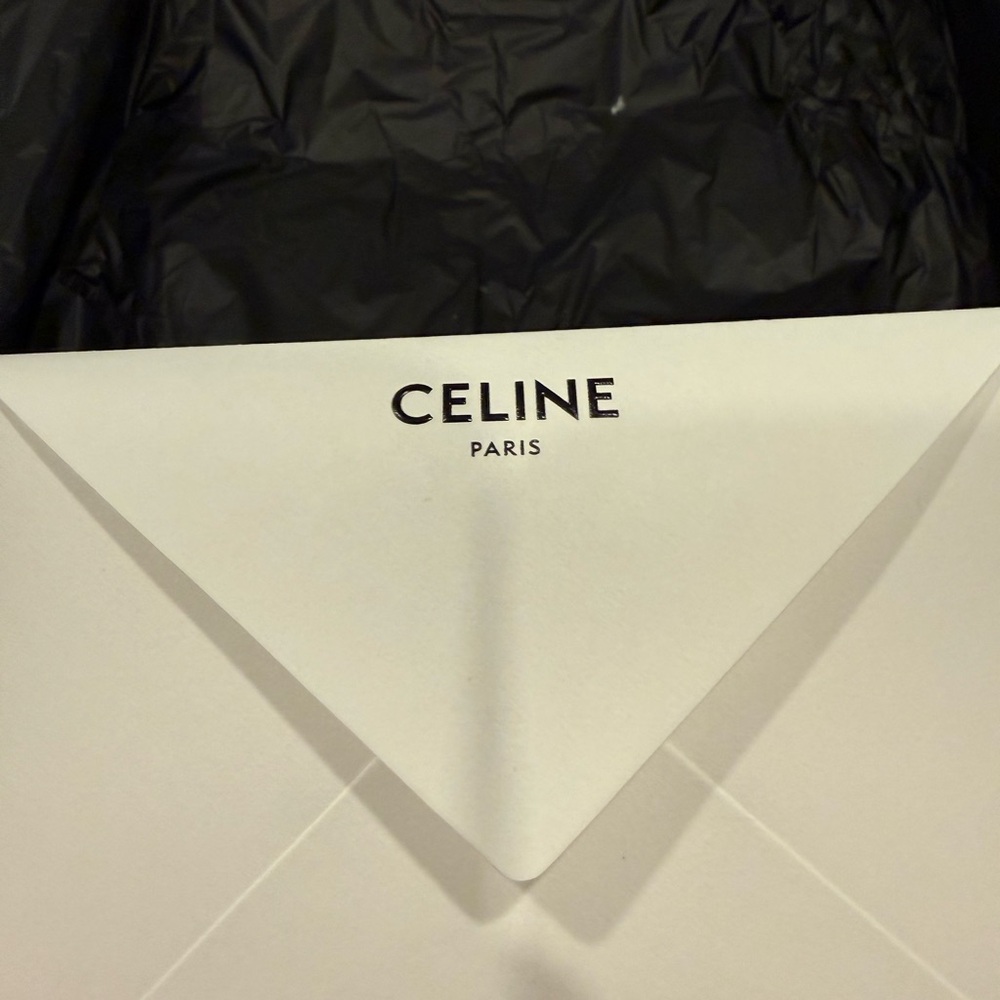 Celine Triomphe Bag in Shiny Calfskin - Picture 5 of 16